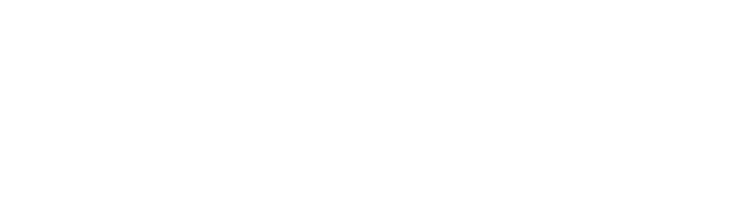 tersen-logo-vit