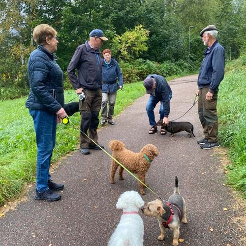 Hundpromenad2
